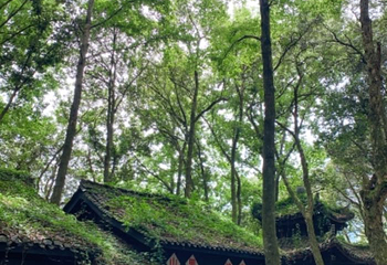 富春桃源风景区第 51 张图片