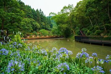 高峰森林公园第 33 张图片