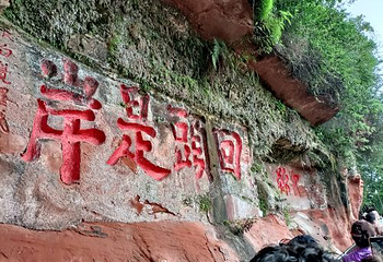 黄龙溪蝴蝶迎新主题园第 6 张图片