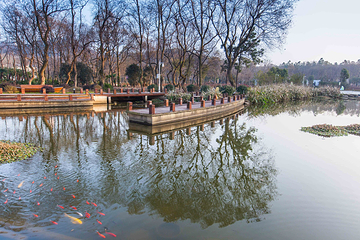 万佛湖风景区第 63 张图片