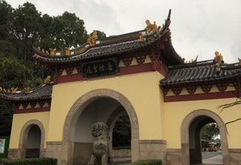 舟山市普陀山风景区-紫竹林第 19 张图片