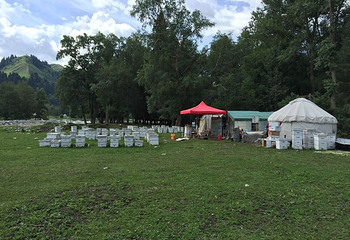 巩留县塔里木云岭山庄第 5 张图片