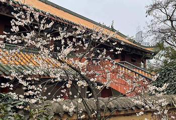 湘山寺第 18 张图片