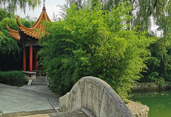 老龙湾第 25 张图片
