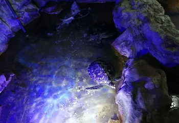 云龙湖水上世界第 32 张图片