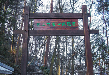 南华山国家森林公园第 6 张图片