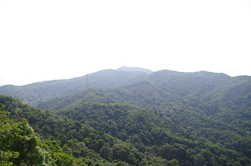 阳台山森林公园第 21 张图片