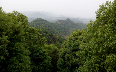 雨母山第 6 张图片