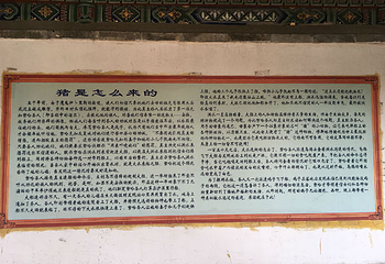 迪拜大清真寺第 6 张图片