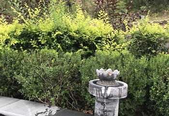 汤泉温泉度假村第 26 张图片