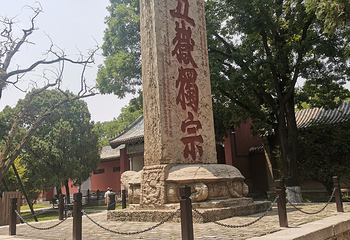 岱庙第 75 张图片