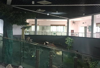 下渚湖熊猫园第 36 张图片