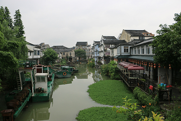 三垟湿地第 29 张图片