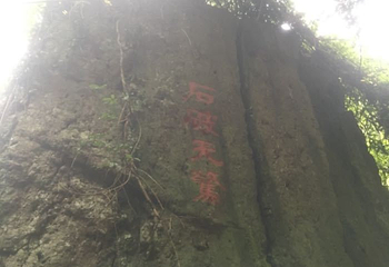 都峤山森林公园第 31 张图片