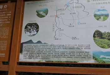 五指山第 17 张图片