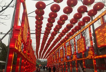 武汉园博园(武汉自然博物馆)第 195 张图片