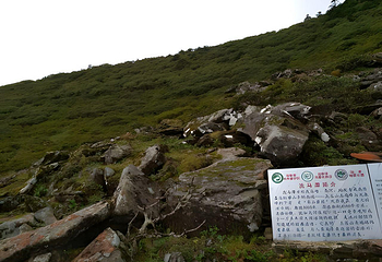 苍山洗马潭索道第 28 张图片