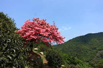 东白山第 14 张图片