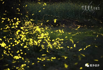 中岩第 11 张图片