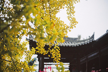 终南山观音禅寺第 15 张图片