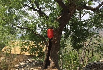 玲珑山第 6 张图片