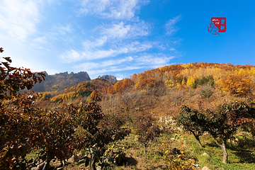 雾灵山生态旅游区第 28 张图片
