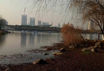 精彩上海旅游联票第 11 张图片