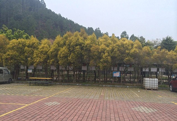 九道山生态旅游区第 97 张图片