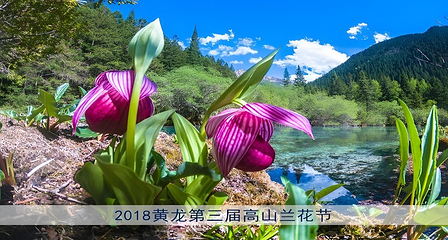 黄龙风景名胜区第 11 张图片