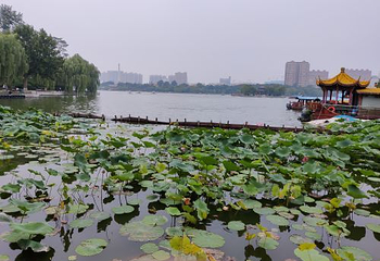 曲水亭街第 31 张图片