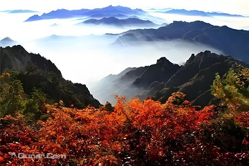 老君山景区第 2 张图片