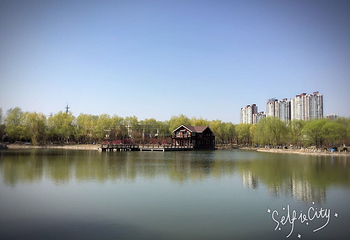 北京奥北水上乐园第 12 张图片