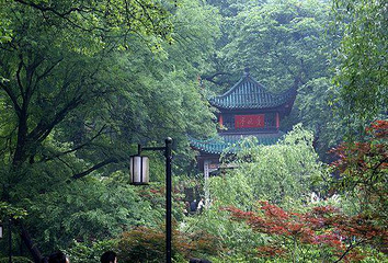 岳麓山第 124 张图片
