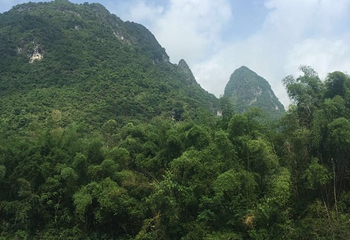 大化红水河百里风情画廊第 16 张图片