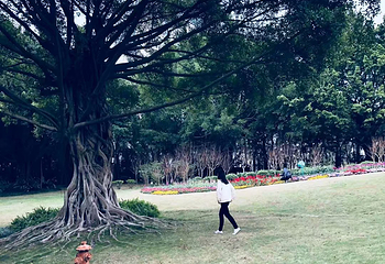 南湖公园第 41 张图片
