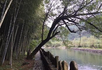 枧潭景区第 17 张图片