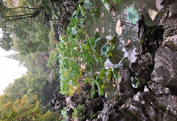 小莲庄第 15 张图片