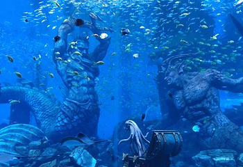 波塞冬沙滩水世界第 81 张图片