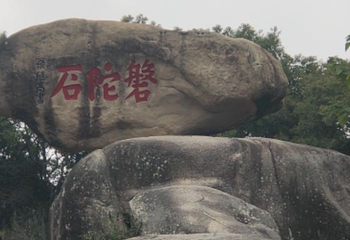 舟山市普陀山风景区-紫竹林第 20 张图片