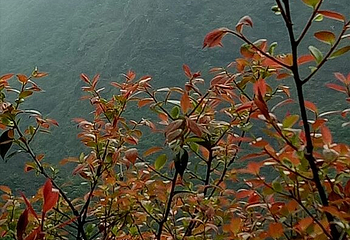 三联峒景区第 30 张图片