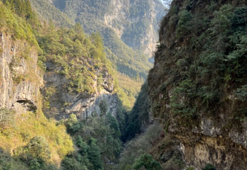 鹿院坪第 20 张图片