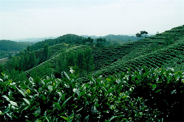 阳城驿景区第 43 张图片