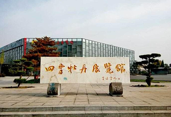 国色天香四季牡丹展览馆第 10 张图片