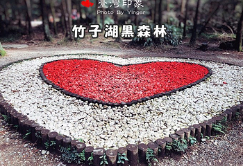 竹子湖第 5 张图片