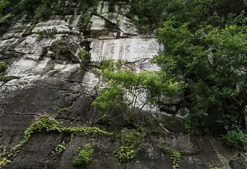 象鼻山景区第 131 张图片