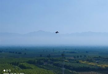 鹳雀楼第 64 张图片