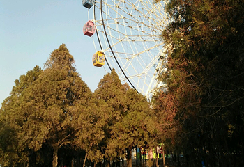 五龙山游乐园第 25 张图片