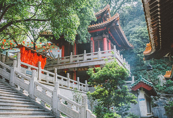 圭峰山国家森林公园第 27 张图片
