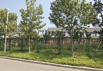 金沙岛第 36 张图片
