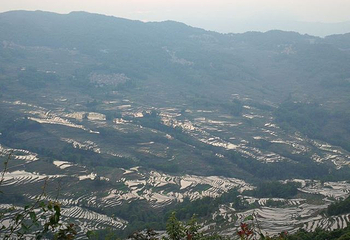 多依树梯田第 21 张图片